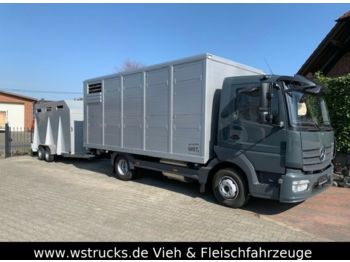 Veetransport lastbil til transportering dyre Mercedes-Benz 821L" Neu" WST Edition" Menke Einstock Vollalu: billede 1