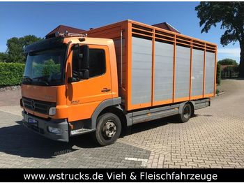 Veetransport lastbil til transportering dyre Mercedes-Benz 822 L  mit Eckstein Einstock: billede 1