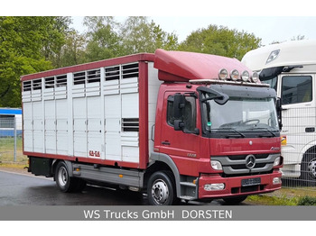 Mercedes-Benz Atego 1329  4x2  KA-BA Viehtransporter Großvieh  - Øvrig maskin: billede 1